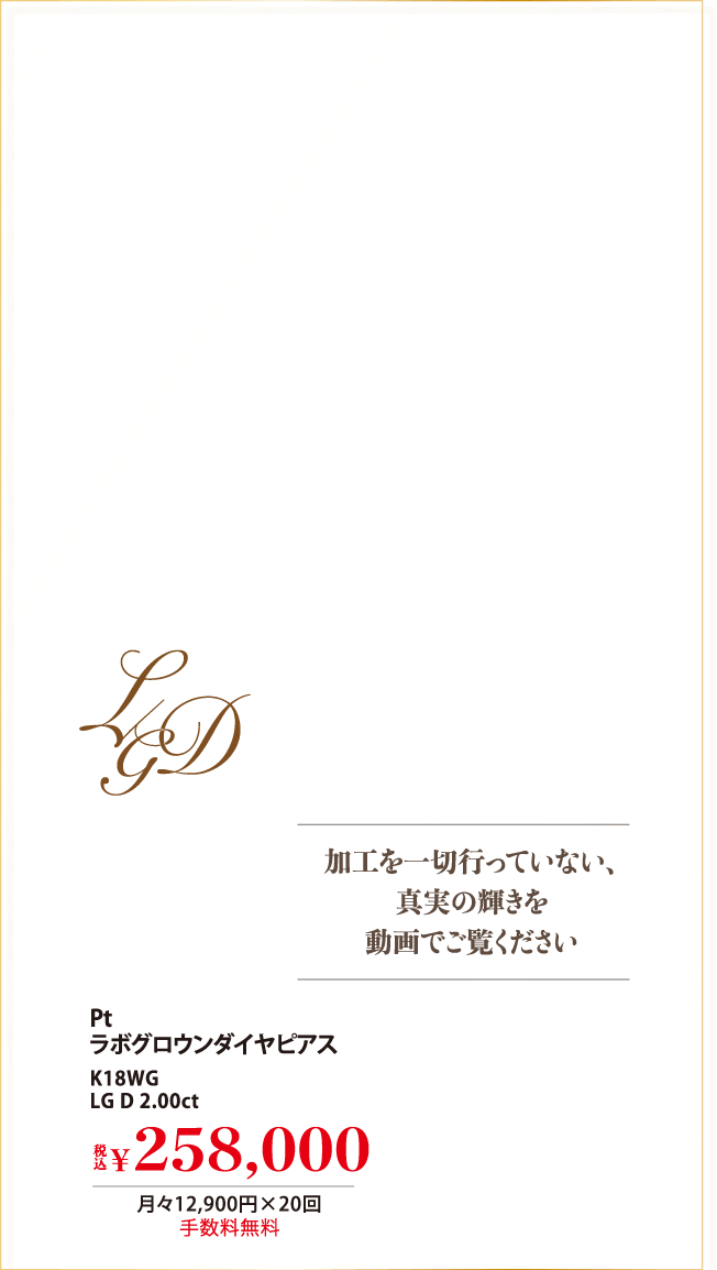 Pt ラボグロウンダイヤピアス K18WG LG D 2.00ct